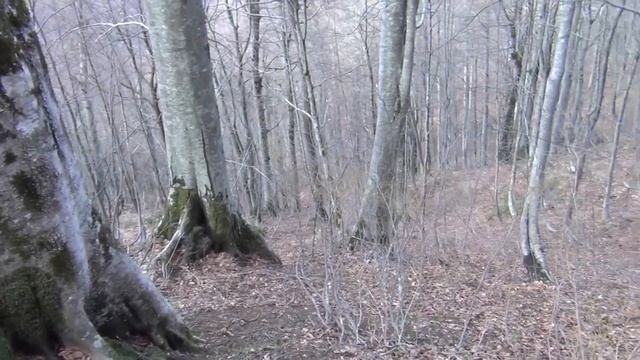 Восхождение на гору Большая Чура. Часть первая.