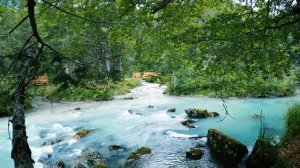 HD Расслабляющие звуки природы ? Звуки ручья / Для сна, от бессонницы