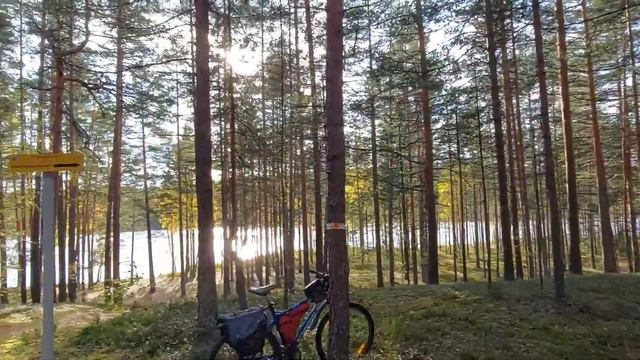 Заказник "Гряда Вярямянселькя": Вело-пеше-грибной маршрут по тропам среди озер. 13.10.2023. Часть 2