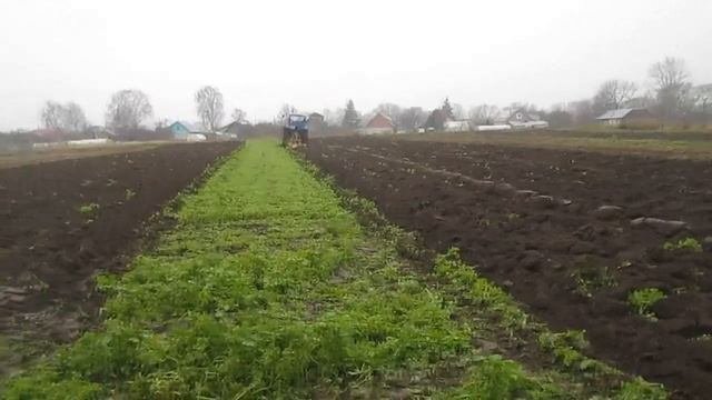Заделка сидератов