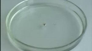 Взаимодействие спиртов с металлами