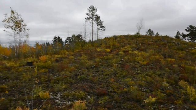 Осеннее Забайкалье. Окрестности Чернышевска-Забайкальского.