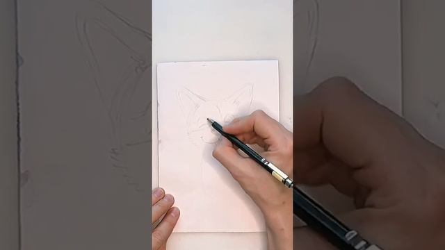 Как нарисовать собаку. Рисуем милого щенка. Урок рисования. Drawing cute puppy. Ho to draw dog.