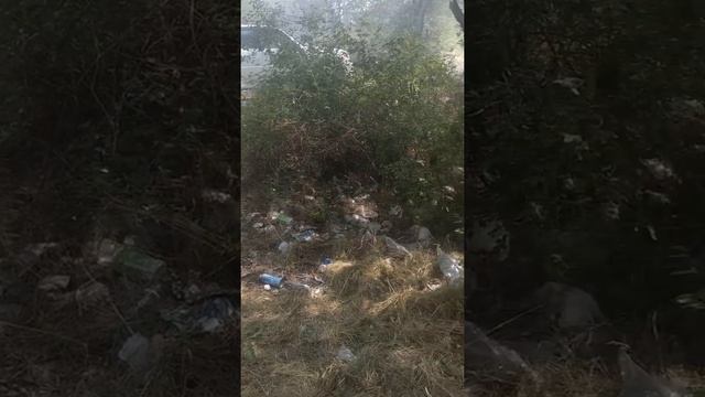 Национальный парк г.Каскелен смотреть онлайн