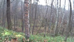 КАСИМОВСКИЙ АРХЕОЛОГИЧЕСКИЙ КОМПЛЕКС. ЧТО ИЗМЕНИЛОСЬ.