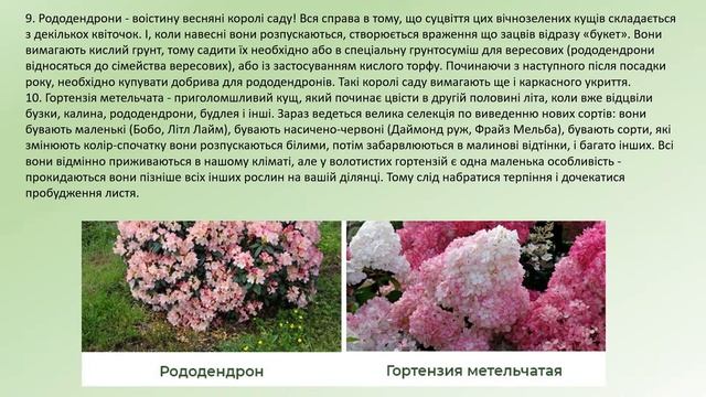 Вебінар 22.06.23 смотреть онлайн