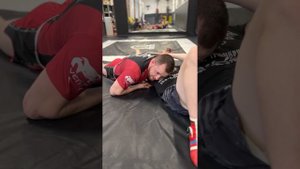 Борьба в ММА. Боковой контроль, выход на север - юг.
