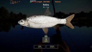 Русская Рыбалка 4 - р. Ахтуба - трофей - сельдь кесслера и вобла