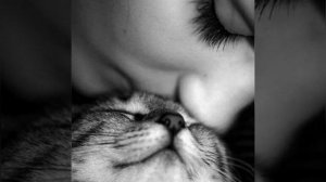 гр.ЯГОДА (Герой)