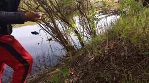 Ставлю закидушки на ночь, результат удивил, Ночная рыбалка!!!