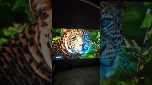 Umiio A008 4K Led Lcd Video Projector 1080p Projection