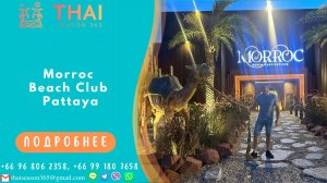 Morroc Beach Club Pattaya