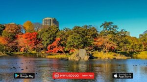 Сад Коисикава Коракуэн – Презентация – Токио – Аудиогид – MyWoWo Travel App