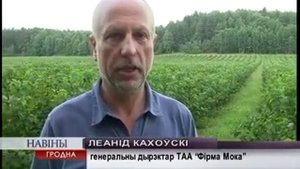 ЯГОДОУБОРОЧНЫЙ КОМБАЙН OXBO 9120