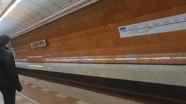 Русич Прибывает на станцию Парк Победы
