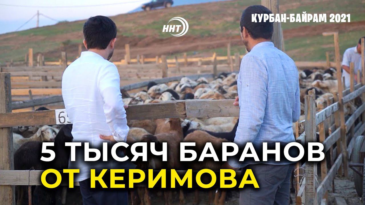 Сенатор Сулейман Керимов пожертвовал в Дагестан 5 тыс. баранов