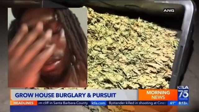 (MOE BEATZ REACT )TO HOMIE TRYNA GET LOW ON 12 WIT CRATES OF ⛽️???? смотреть онлайн