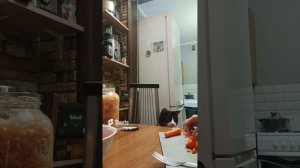 Кот Андрей и отварная морковь