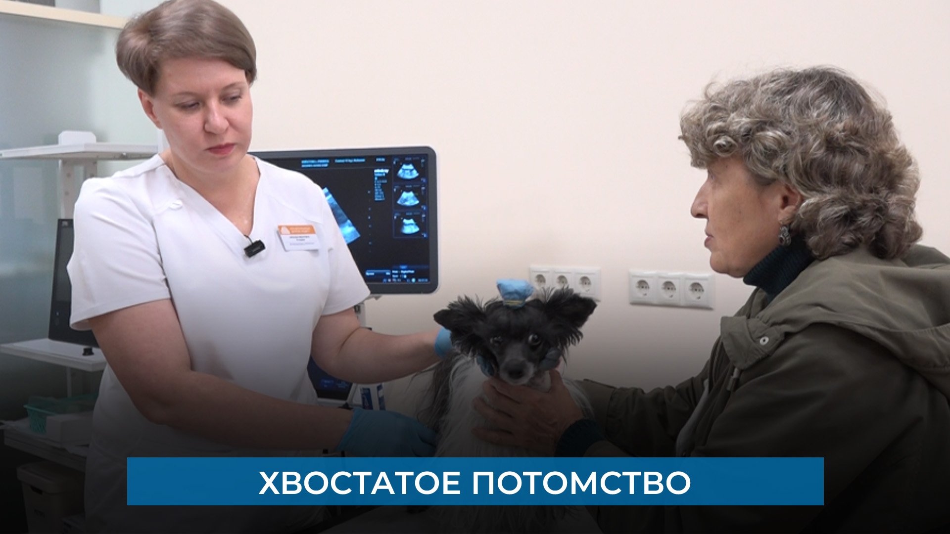 Домодедово Ветклиника