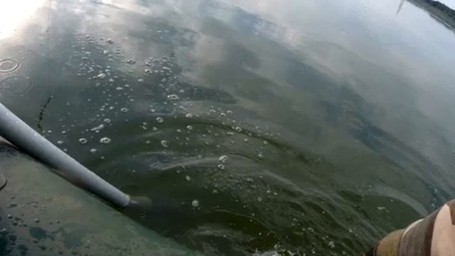 Сом на квок. Подъем сома на эхолоте. Сравнение двух эхолотов Deeper Chirp+ и Eagle Fish Mark 320 смотреть онлайн