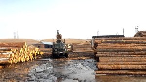 Разгрузка леса манимулятором Лесовоз Урал с гидроманипулятором для леса Велмаш ОМТЛ-97