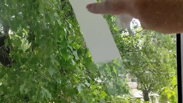 ЧЕМ ОТМЫТЬ ОКНА ОТ СКОТЧА  ? ПОСУДА БЛЕСТИТ как НОВАЯ ?
