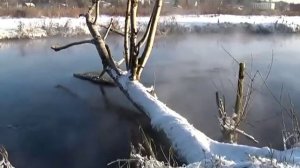 Путеводитель по Томилино