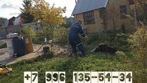 абесинка для бани