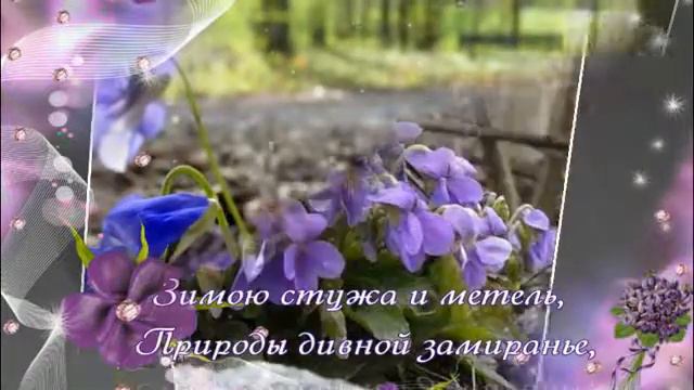 Фиалка сказочный цветок смотреть онлайн