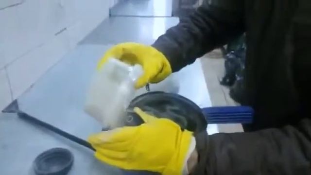 Дуст от тараканов