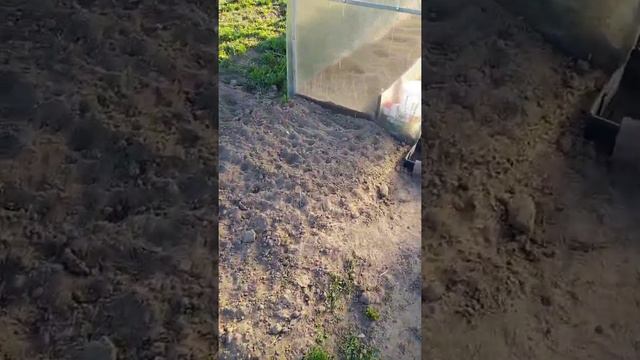 пруд своими руками, декоративный пруд, деревня