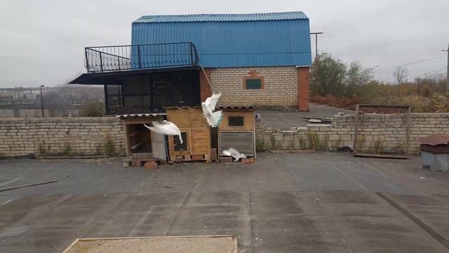 тренировка Турчат. в небольшой ветер все и