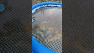Intex без каркасный Бассейн установка и советы новчикам