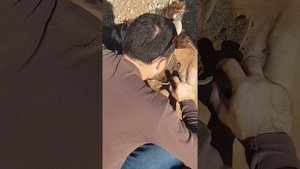 Как добывали огонь первобытные люди