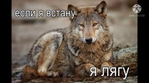 Ауф откуда появился мем?значение мема? откуда появился и что означает?