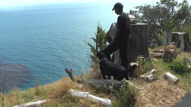 Felony / Stalker 7 смотреть онлайн