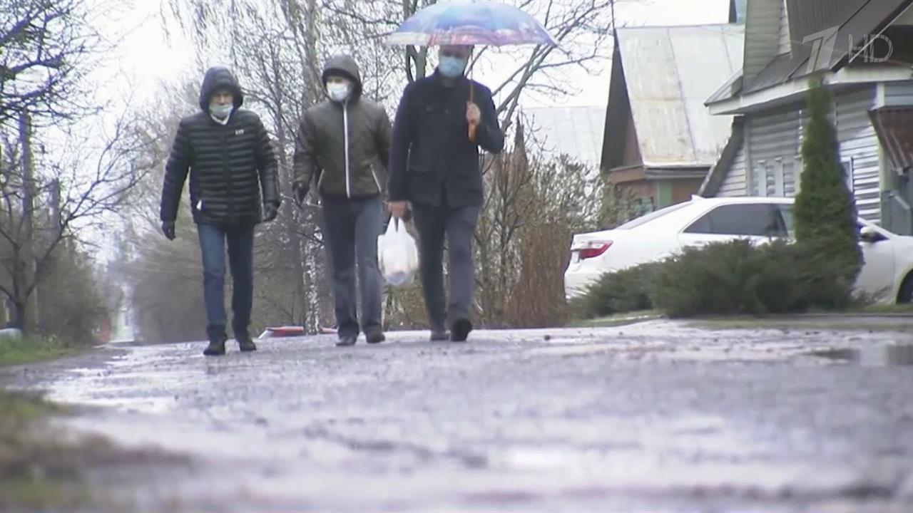 Зарубежные политологи обсудили поправки в Конституцию РФ