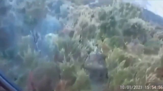 Охота на кабана. Добивает кабана ружьём. смотреть онлайн