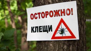 Защити себя от клещей  45 суток спокойствия