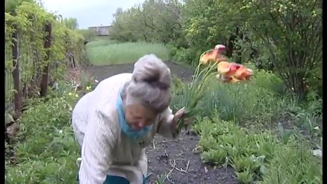 "Счастливая ступенька" для инвалидов по зрению смотреть онлайн