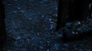 Уэнсдэй 1 сезон 3 серия Не разлей беда