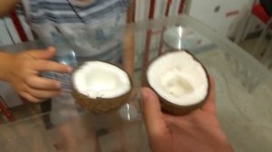 Достаем кокосовую мякоть из кокоса