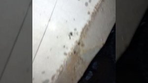 Ремонт будки автомашины Газель .