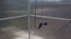 теплица -  затенение и установка  вентилятора.