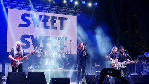 Sweet Fox On The Run  Vrable 6.8.2022