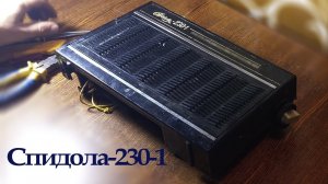 Разбираем переносной радиоприемник _Спидола-230-1_.