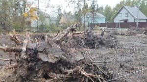 #9 КОРЧЕВАНИЕ ПНЕЙ/ Затраты на уборку/ 2022