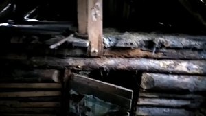 Мечта сбылась! Купила Дом в деревне на берегу реки. Обзор дома.