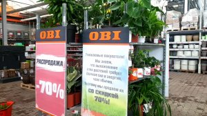 ?ОБИ?Уценка Комнатных Цветов?Неожиданный Сюрприз в Уцененном Папоротнике❤