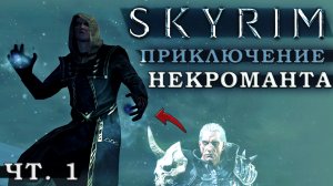 Skyrim билд из Алхимии, Разрушения и Колдовства: Некромант (часть 1)